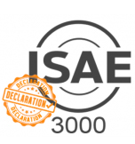 ISAE 3000